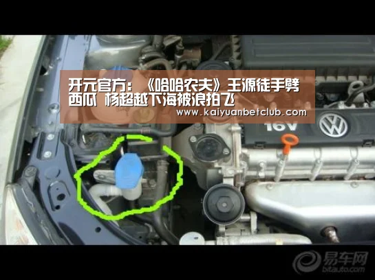 开元官方:《哈哈农夫》王源徒手劈西瓜 杨超越下海被浪拍飞(图3) 开元体育