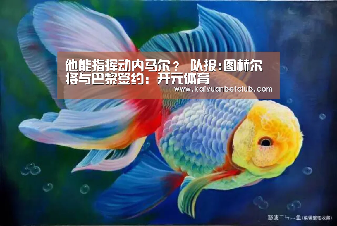 他能指挥动内马尔? 队报:图赫尔将与巴黎签约:开元体育(图1) 开元体育