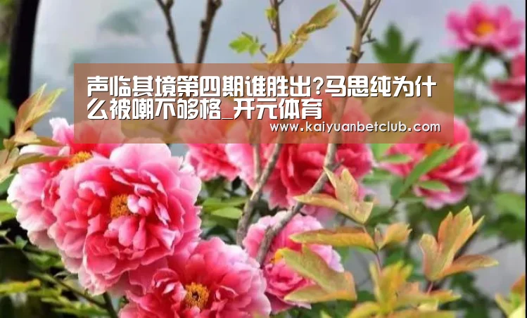 开元官方